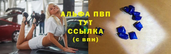 шишки Беломорск