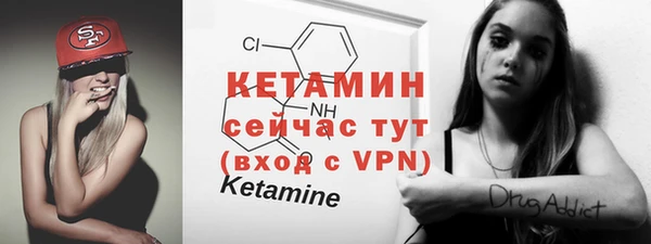 хмурый Белокуриха