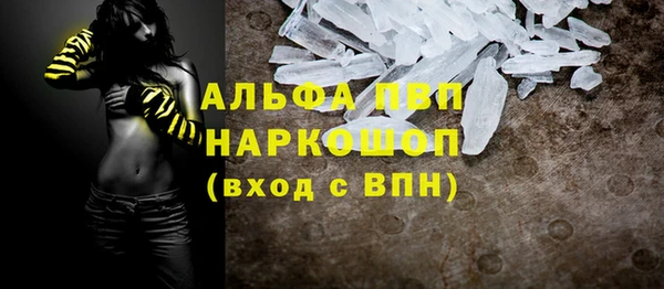 хмурый Белокуриха