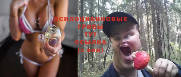 хмурый Белокуриха