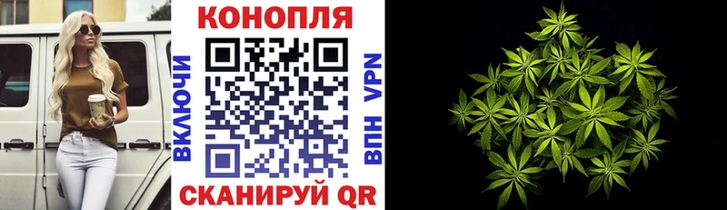 Шишки марихуана VHQ купить наркотик Короча